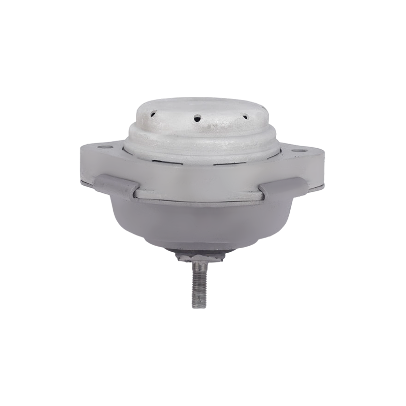 Soporte de motor delantero para BMW X5 (E53)