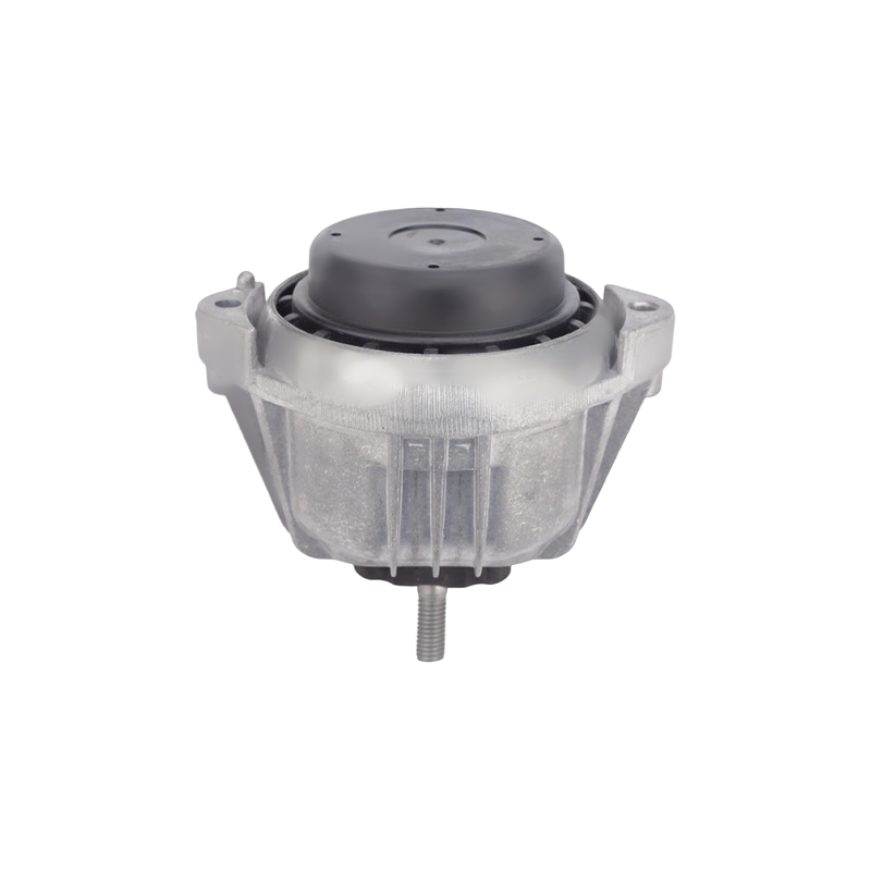 Soporte de motor (centro izquierdo) para BMW Serie 1 / Serie 3 / Z4 / X1 Serie E
