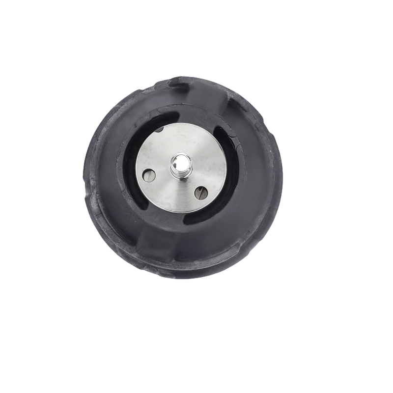Soporte de motor para BMW Serie 3 (Brilliance) / Serie 3 (Importado) / Z4