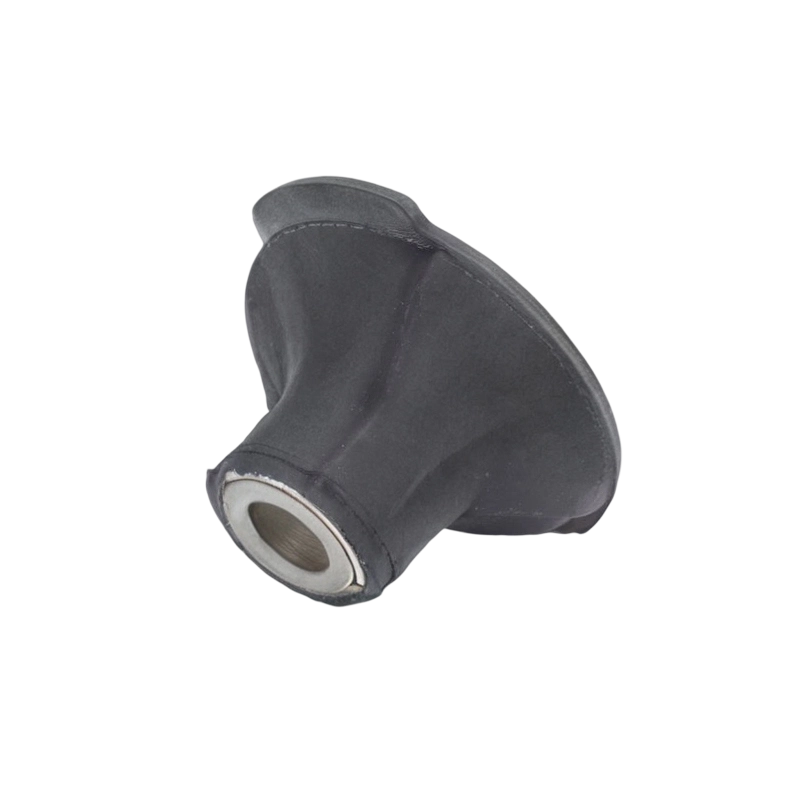 Restaurar la estanqueidad del chasis: bujes del brazo de control / brazo trasero