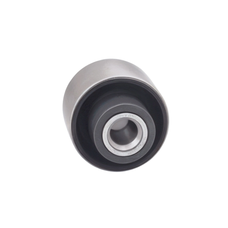 Arbusto de brazo trasero BMW E46 Serie 3 X3 Z4