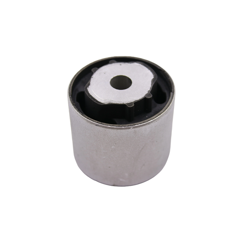Buje del diferencial trasero para Volkswagen Touareg y Porsche Cayenne (7L/955/957)